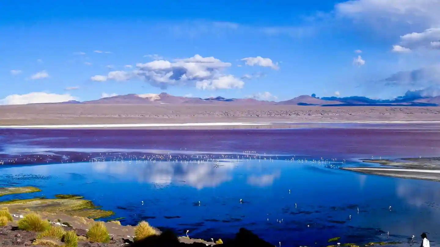 laguna colorada